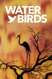 Poster for Water Birds